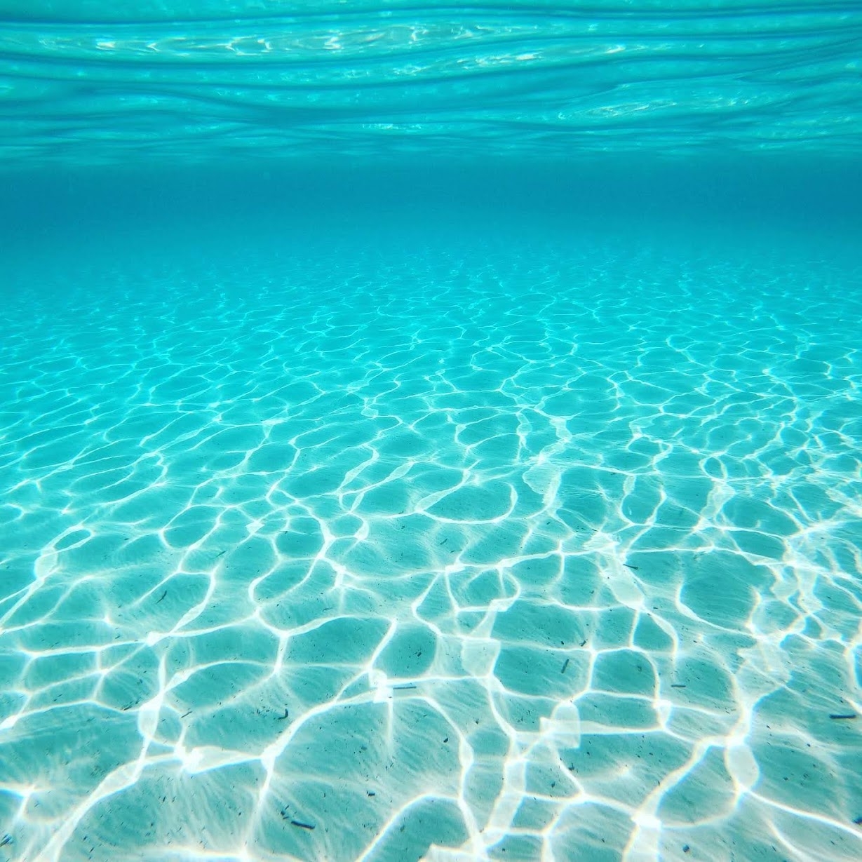 Borik Hills garden and outdoor area in Zadar, Croatia
